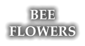 BEE FLOWERS